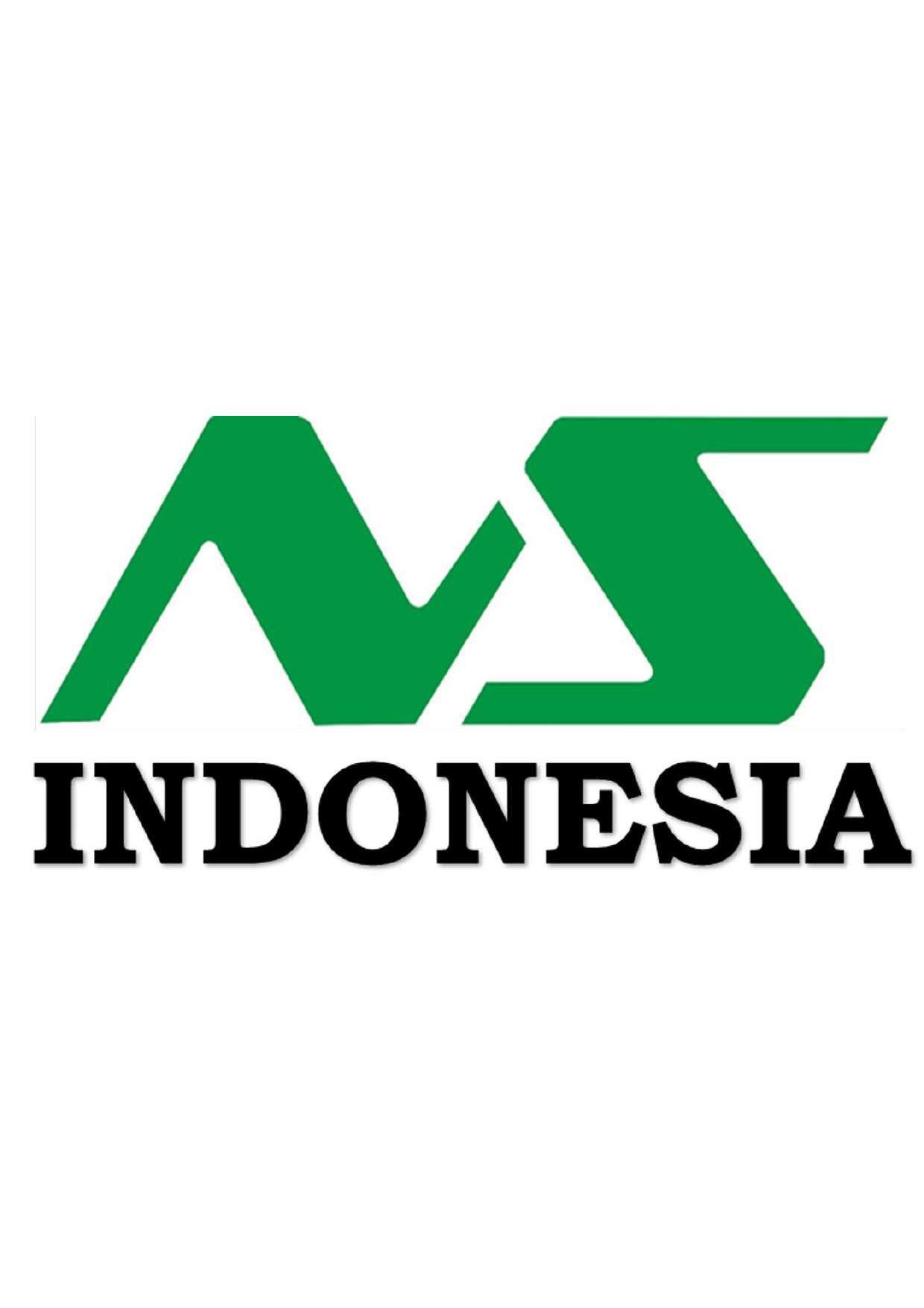 Indonesia Nippon Seiki