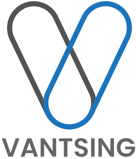 Vantsing International Group