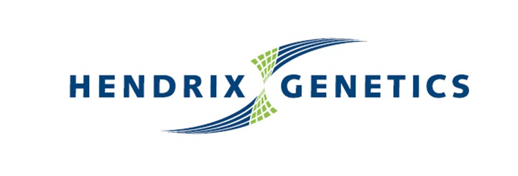 Karir Terbaru Recruimen Mechanical & Electrical di PT. Kona Bay Indonesia 1 6487e0e488ad1