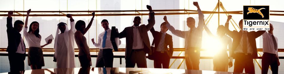 Lowongan IT Support & Networking di PT Tigernix Solutions Indonesia 2 62b2b64adee6e