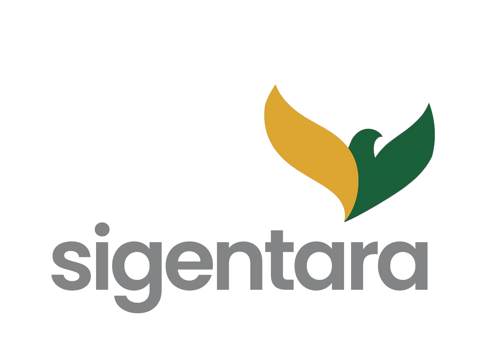 Sinergi Generasi Nusantara