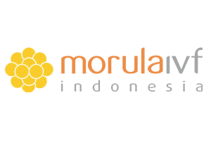 Morula Indonesia