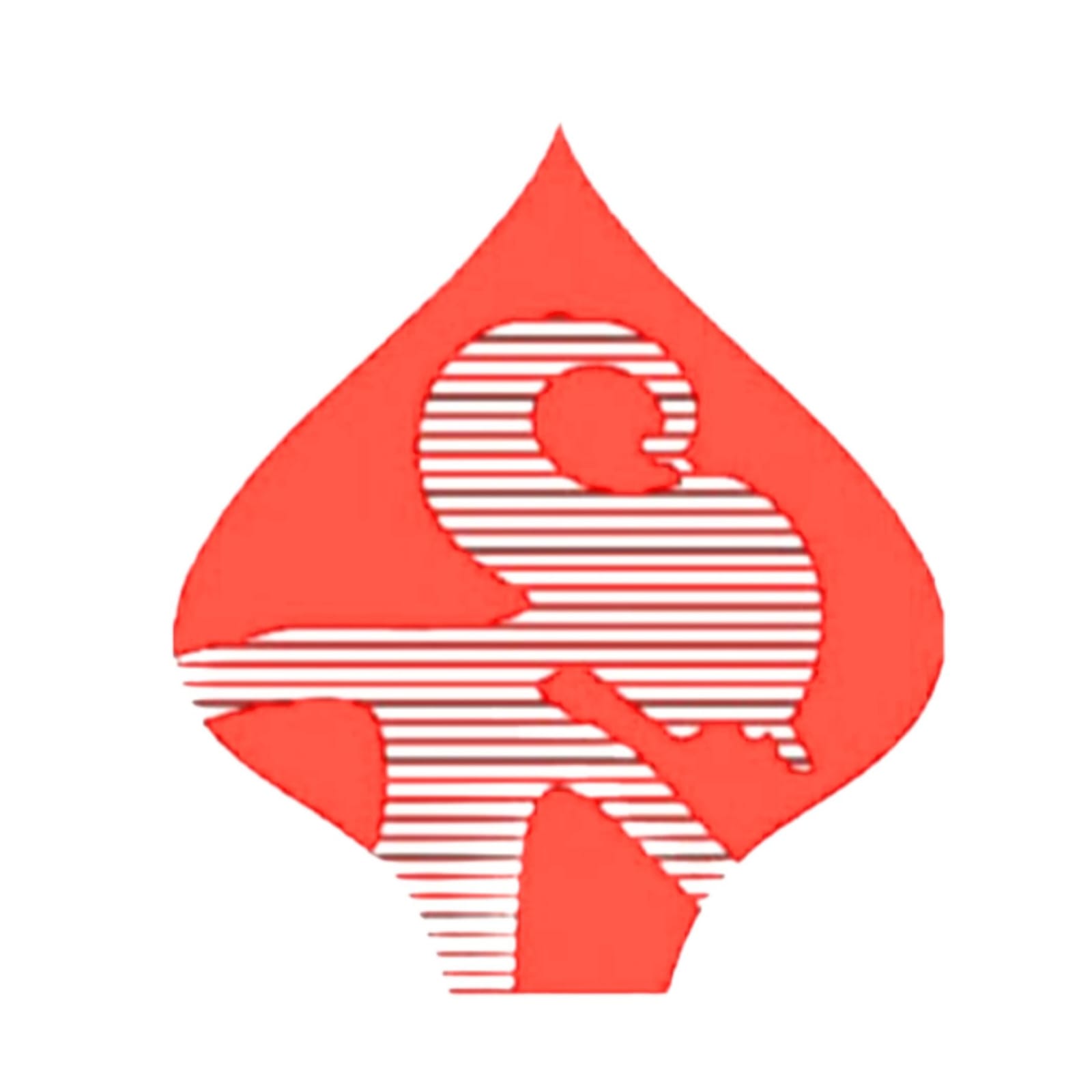 Logo Bima Polyplast