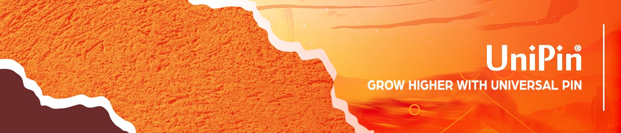 Karir Terbaru Business Coordinator di Dua Puluh Empat Jam Online 2 66bc494675b9e