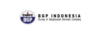 Karir Terbaru Tax Officer di PT Bgp Indonesia - Balam 2 6285e8bee53fa
