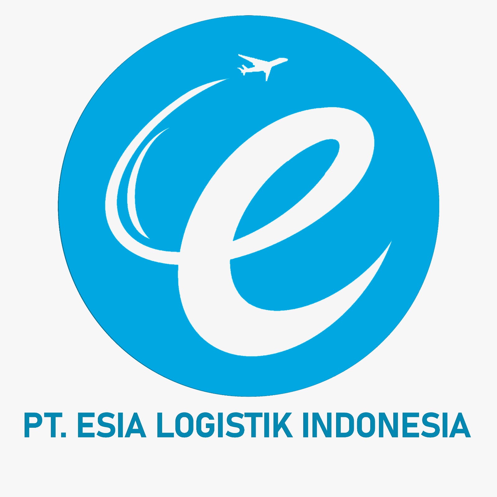 Lowongan Kerja Accounting Executive di PT Esia Logistik Indonesia, Kuta, Kuta, Kab. Badung, Bali, Indonesia