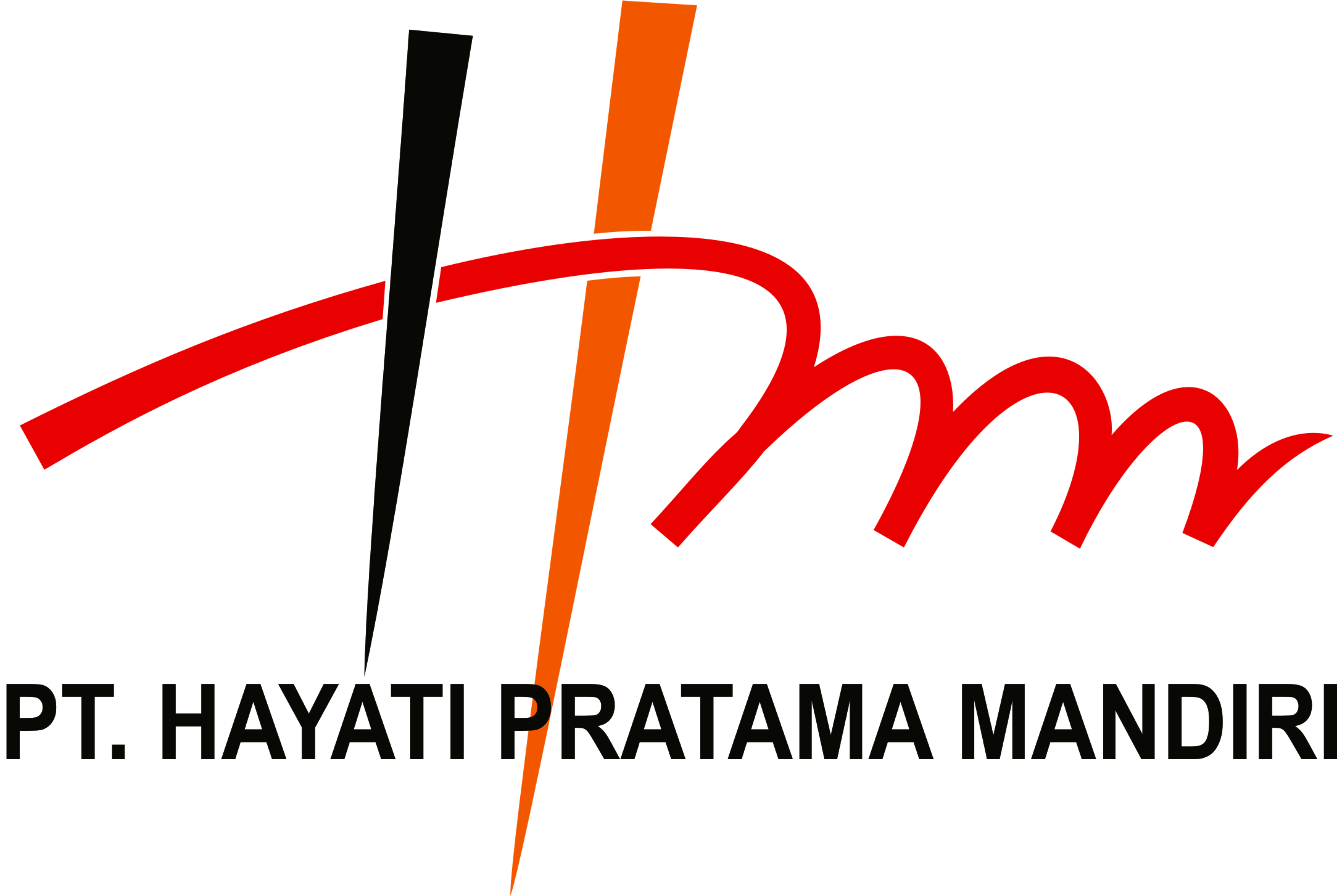 Lowongan pekerjaan Marketing Executive di PT Hayati Prataman Mandiri